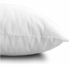 Throw Pillow Core